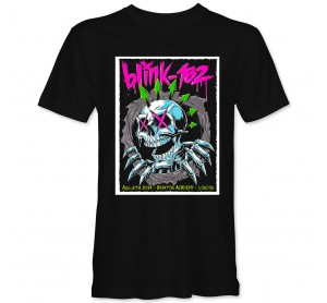Blink 182 5